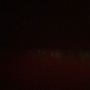 Meet your Posher, Zach